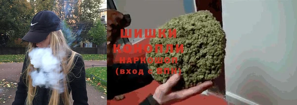 ECSTASY Вяземский