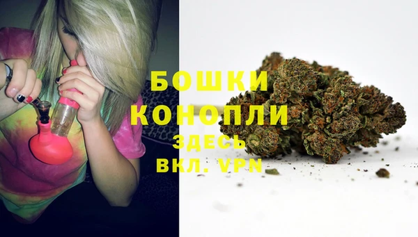 ALPHA PVP Магас