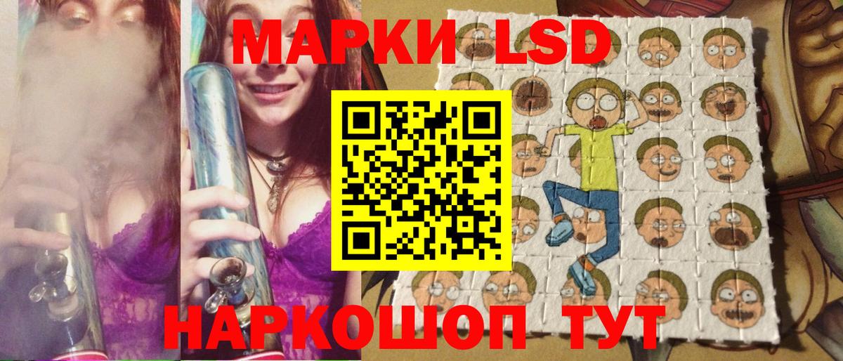Бошки Шишки  Вход с VPN  Мяу-Мяу  Нижнеудинск  Хэш 