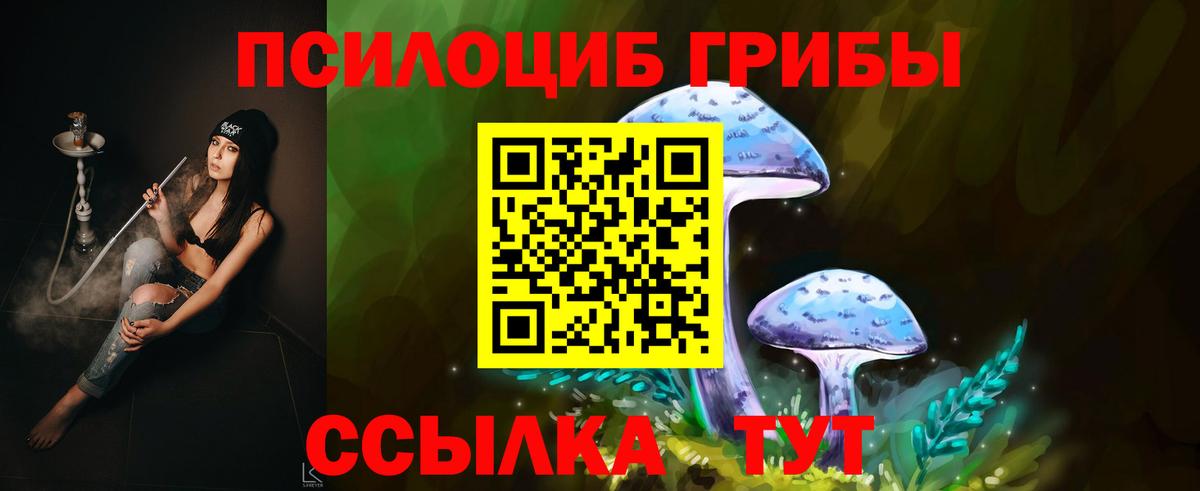 Псилоцибиновые грибы Psilocybe  Вход с VPN  Нижнеудинск 